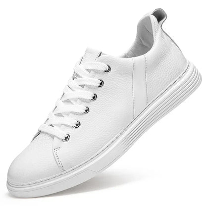Classic Genuine Leather Shoes